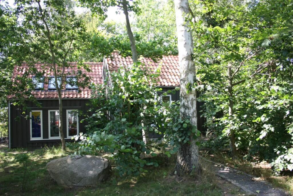 Oak Cottage Near Ronne & Beach 外观 照片